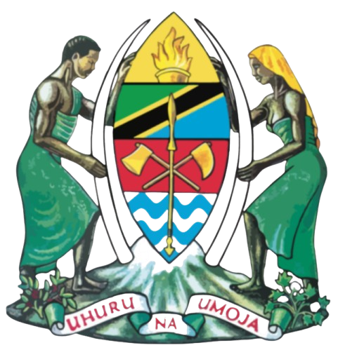 Misungwi Community Development Technical Training Institute-Mwanza
